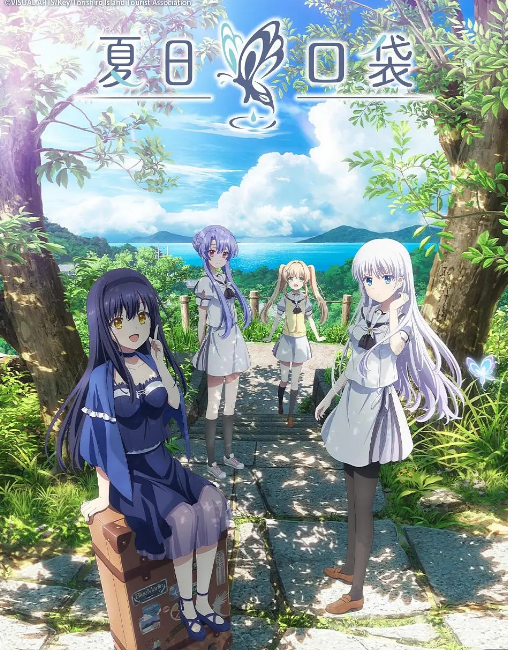 夏日口袋